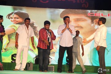 Loukyam Movie Audio Success Function